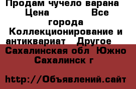 Продам чучело варана. › Цена ­ 15 000 - Все города Коллекционирование и антиквариат » Другое   . Сахалинская обл.,Южно-Сахалинск г.